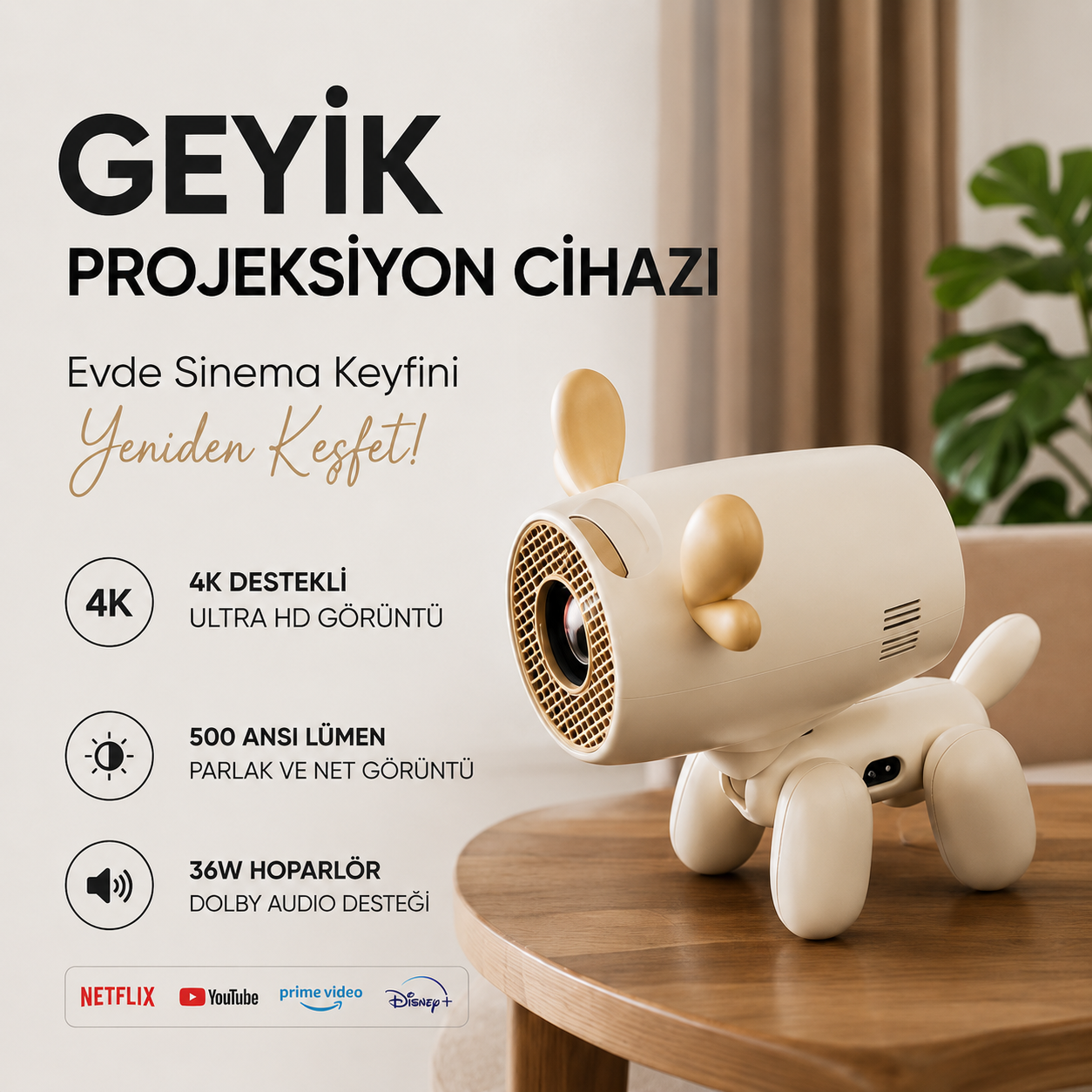 Geyikli Projeksiyon Cihazı