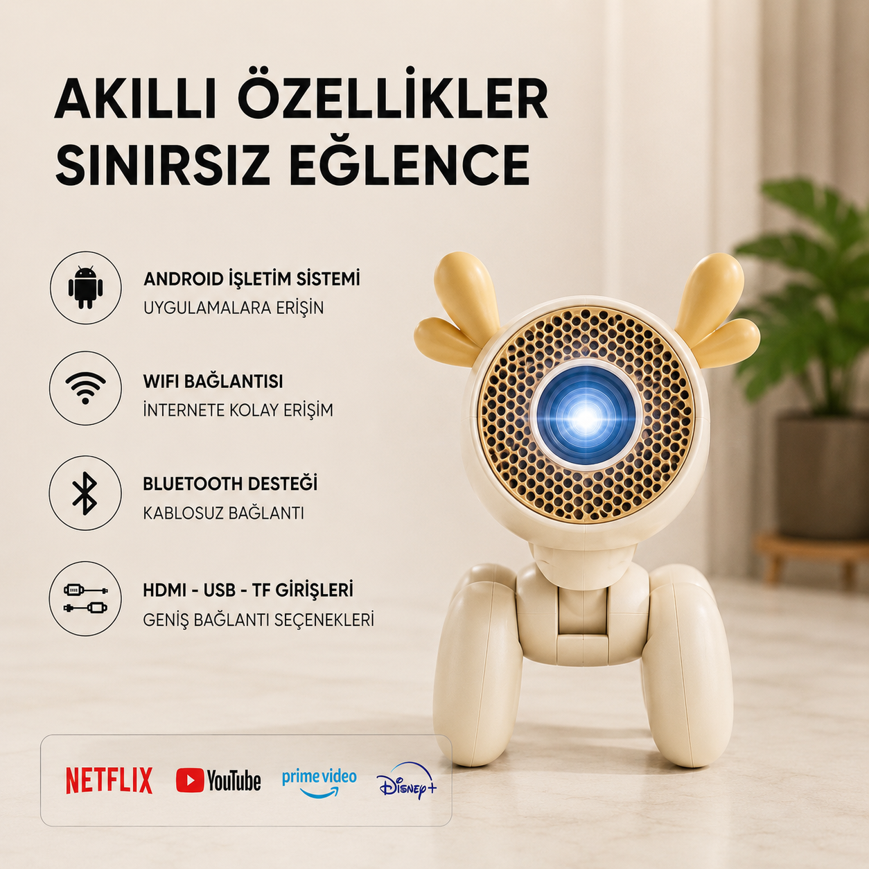 Geyikli Projeksiyon Cihazı
